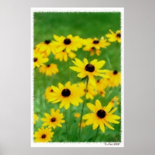 Black Eyed Susans Poster