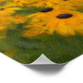 Black Eyed Susans Poster (Hoek)