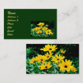 Black Eyed Susans Profile Visitekaartje (Voorkant / Achterkant)