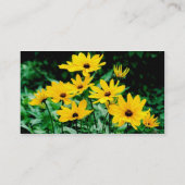 Black Eyed Susans Profile Visitekaartje (Achterkant)