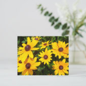 Black Eyed Susans- Rudbeckias Briefkaart (Staand voorkant)