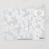Black-Eyed White Daisies bloemen Briefkaart (Achterkant)