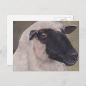 Black Face Sheep Art Briefkaart (Voorkant / Achterkant)