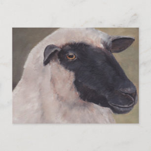 Black Face Sheep Art Briefkaart