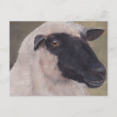 Black Face Sheep Art Briefkaart (Voorkant)
