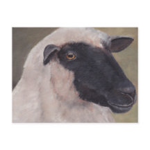 Black Face Sheep Art Briefkaart