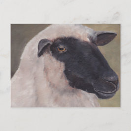 Black Face Sheep Art Briefkaart