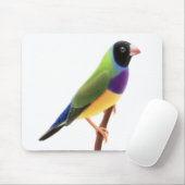 Black Faced Gouldian Finch Mousepad Muismat (Met muis)