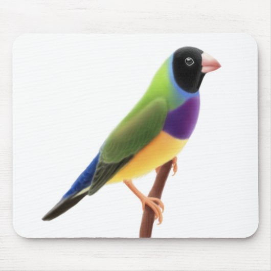 Black Faced Gouldian Finch Mousepad Muismat (Voorkant)