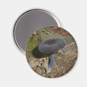 Black Flower Mushroom Magnet (Voorkant / Achterkant)