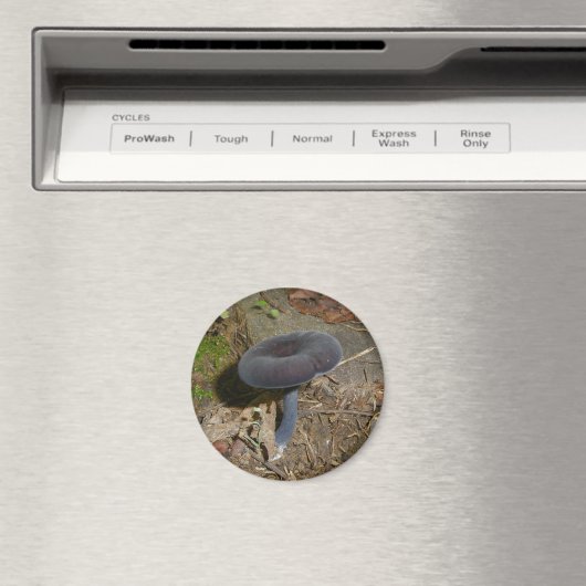 Black Flower Mushroom Magnet (Insitu (Vaatwasser))