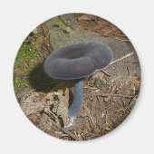 Black Flower Mushroom Magnet (Voorkant)