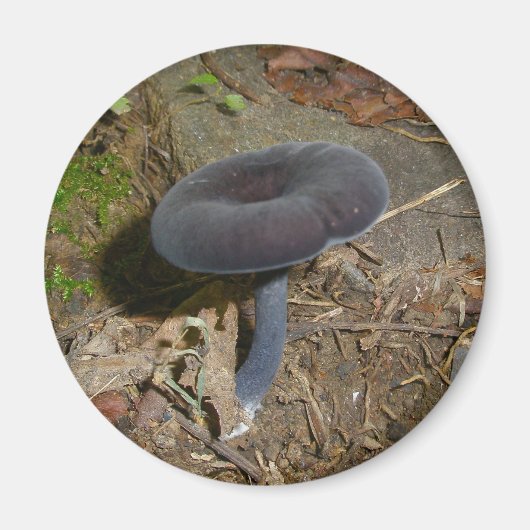 Black Flower Mushroom Magnet (Voorkant)