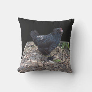 Black Fluffy Chicken Buitenkussen