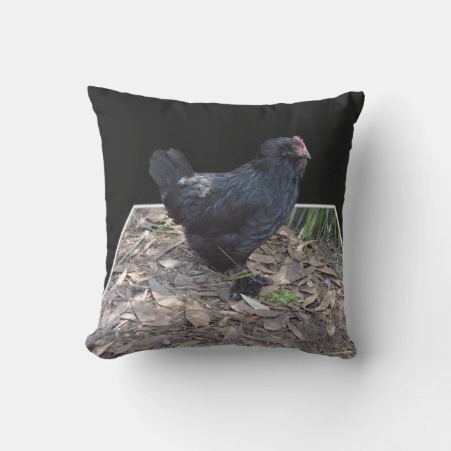 Black Fluffy Chicken Buitenkussen (Voorkant)
