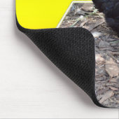 Black Fluffy Rooster Dimensional Art Muismat (Hoek)