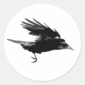 BLACK FLYING KROW Sticker Series (Voorkant)