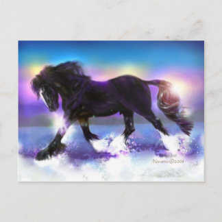 Black Foot Shire Briefkaart