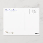 Black-Footed Ferret Wildlife Series # 7 Briefkaart (Achterkant)