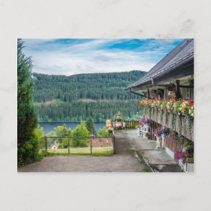 Black Forest, Germany Briefkaart