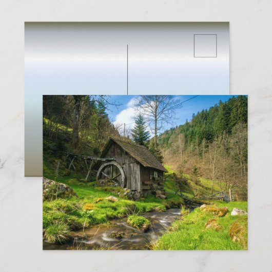 Black Forest Grist Mill Duitsland Briefkaart (Voorkant / Achterkant)