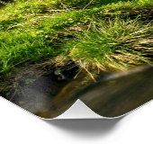 Black Forest Grist Mill Duitsland Poster (Hoek)