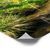 Black Forest Grist Mill Duitsland Poster (Hoek)