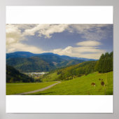 Black Forest Poster (Voorkant)