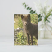 Black Fox Briefkaart (Staand voorkant)