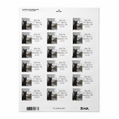 Black French Bulldog Etiket (Full Sheet)
