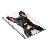 Black French Bulldog Notitieboek (Rechterzijde)