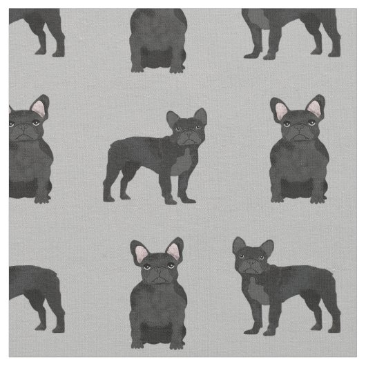 Black French Bulldogs Stof (Close Up)