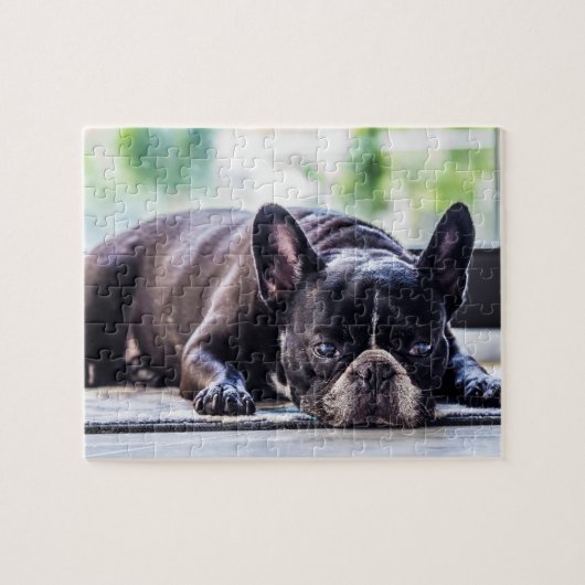 Black Frenchie Legpuzzel (Horizontaal)