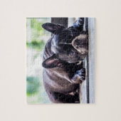 Black Frenchie Legpuzzel (Verticaal)