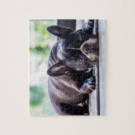 Black Frenchie Legpuzzel