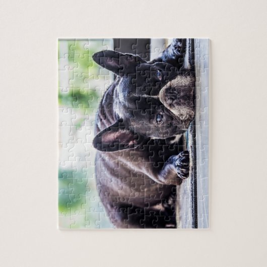 Black Frenchie Legpuzzel (Verticaal)