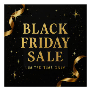 Black Friday Perfect Poster