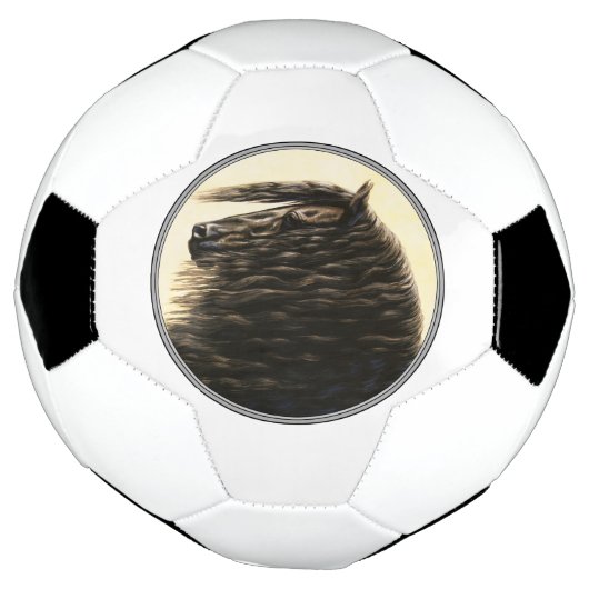 Black Friesian Draft Horse Voetbal (Gedraaid)