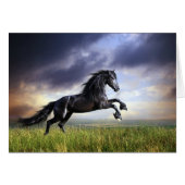 Black Friesian Horse (Voorkant Horizontaal)