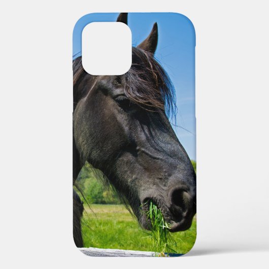 Black Friesian Horse Case-Mate iPhone Case (Achterkant)