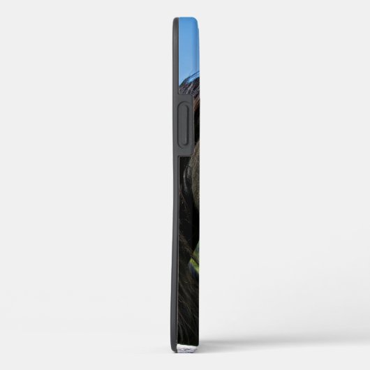 Black Friesian Horse Case-Mate iPhone Case (Achterkant / Rechts)