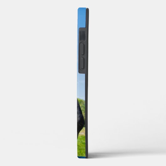 Black Friesian Horse Case-Mate iPhone Case (Achterkant / Links)