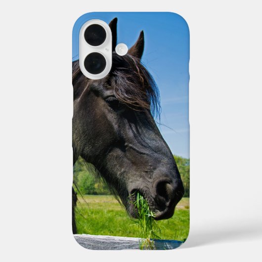 Black Friesian Horse Case-Mate iPhone Case (Achterkant)