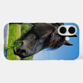 Black Friesian Horse Case-Mate iPhone Case (Achterkant (horizontaal))