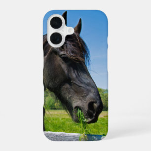 Black Friesian Horse iPhone 16 Hoesje