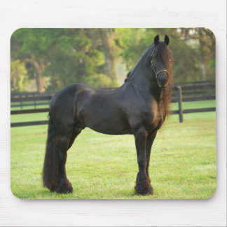 Black Friesian Horse Muismat