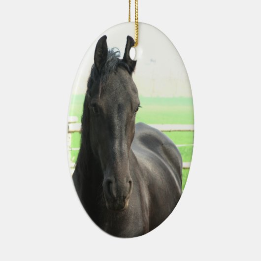 Black Friesian Horse Ornament (Rechts)