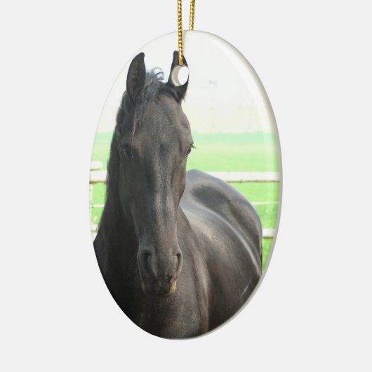Black Friesian Horse Ornament (Links)