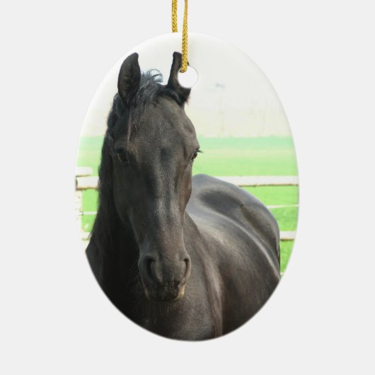 Black Friesian Horse Ornament (Achterkant)