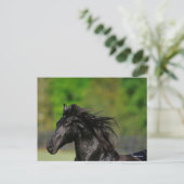 Black Friesian Horse Stallion Headshot Briefkaart (Staand voorkant)
